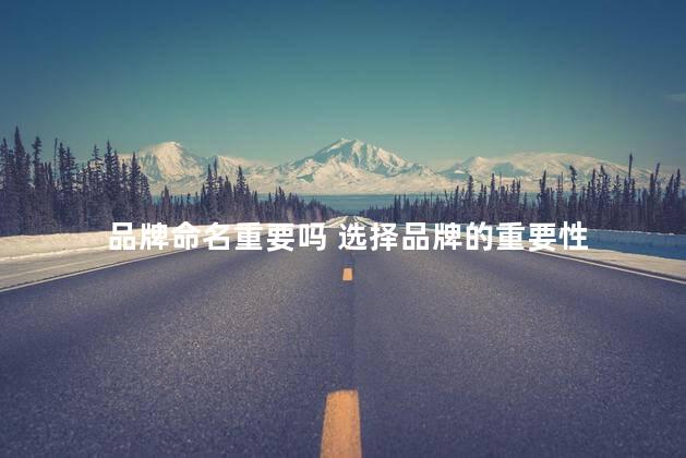 品牌命名重要吗 选择品牌的重要性